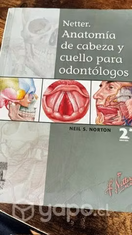 Netter de anatomía de cabeza y cuello odontologia