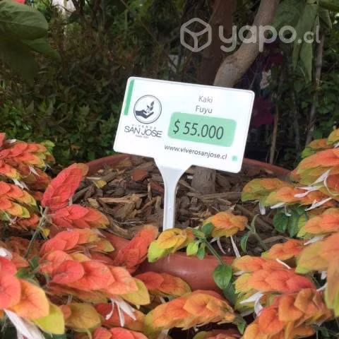50 x Etiquetas con estaca para plantas - 27 cm