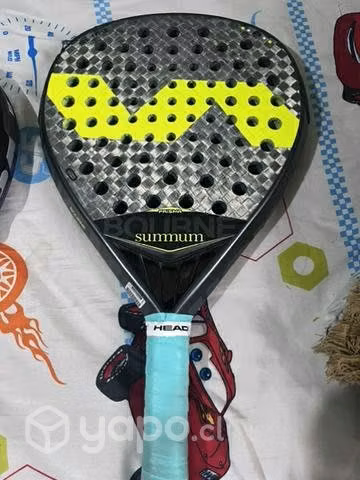 Palas varlion