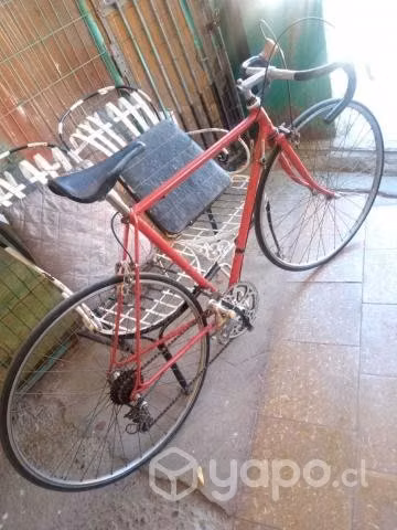 Bicicleta pistera