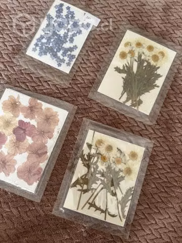 Mega pack insumos resina y prensado floral