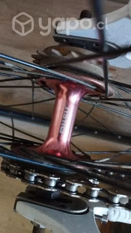 Bicicleta visp fixie piñón fijo/libre