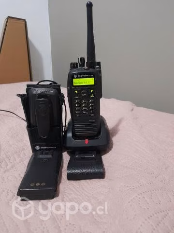 Radio dgp-6150
