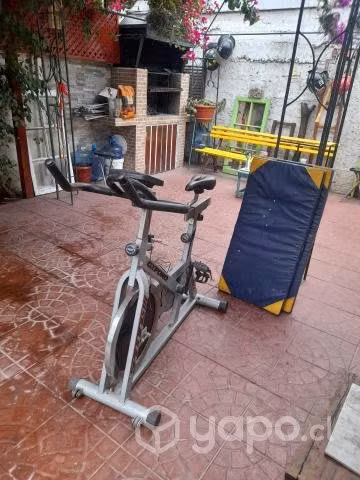 Elíptica marca oxford modelo spinning iii