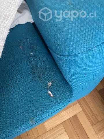 2 sillones con sus fundas - Imagen 3