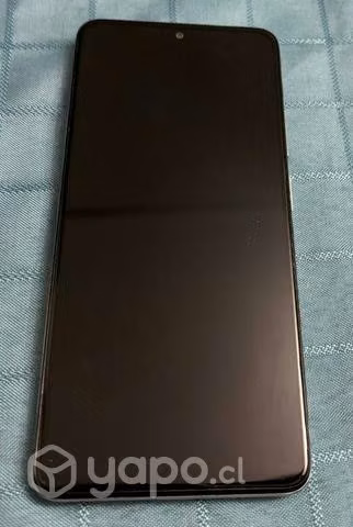 Celular Xiaomi Redmi Note 11 Pro Color Perlado