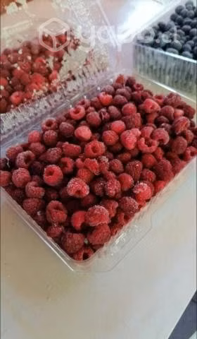 Frambuesas, Arándanos y Moras ricos del Sur