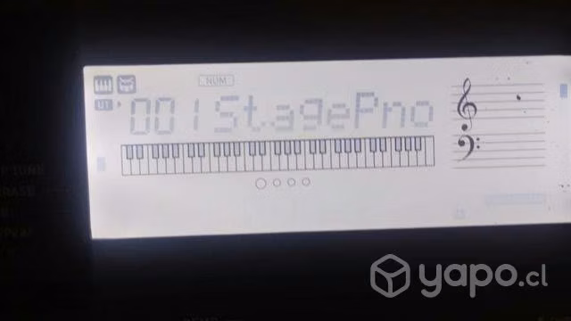 Teclado casio CT-X 800