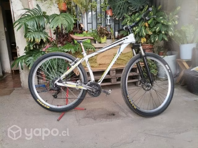 Bicicleta aro 29 specialized