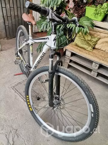 Bicicleta aro 29 specialized - Imagen 2