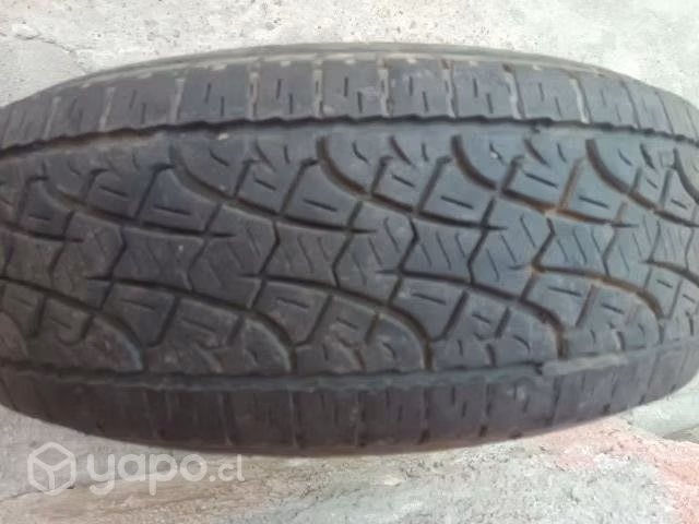 Neumáticos Pirelli - Imagen 3