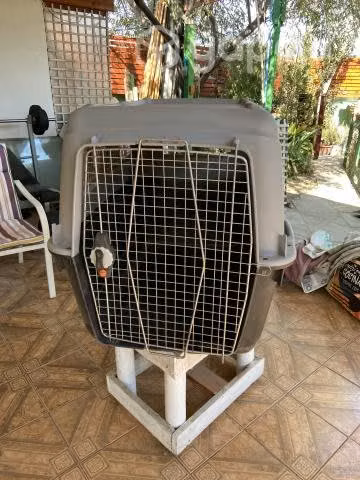 Transportadora de perro - sin uso