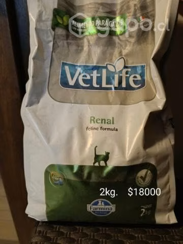 Comida gato. Verlife y royal canin - Imagen 2