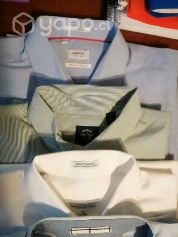 Bellas e impecables camisas