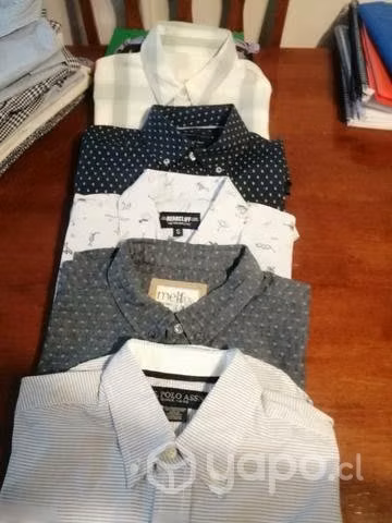 Bellas e impecables camisas
