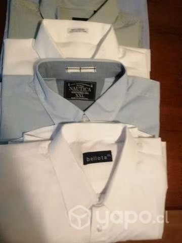 Bellas e impecables camisas