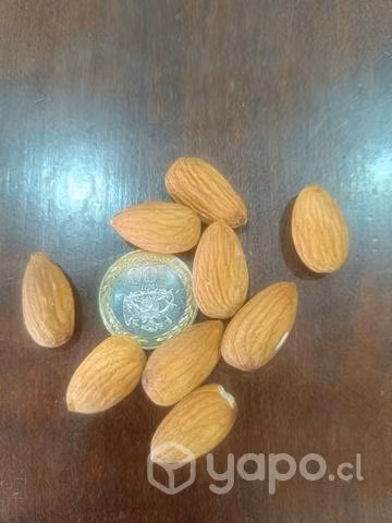 Almendras non pareil