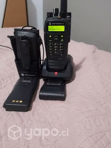Radio Motorola DGP-6150 más adicionales.