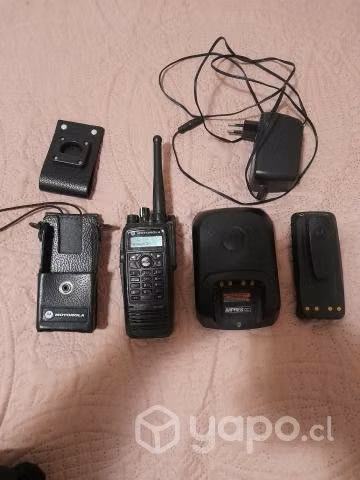 Radio Motorola DGP-6150 más adicionales.