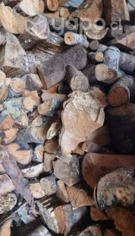 Leña seca brosa