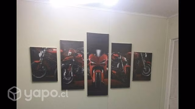 Canvas Ducati 5 piezas