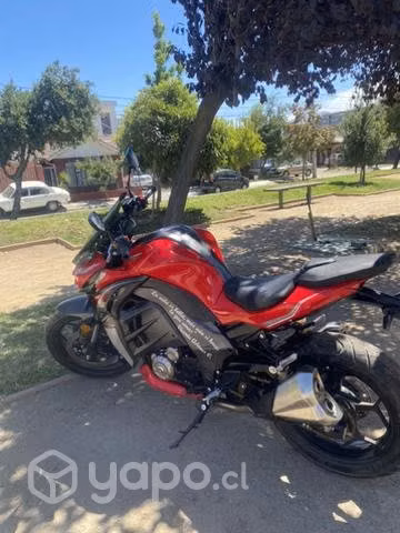 Moto Motorad N335 2023