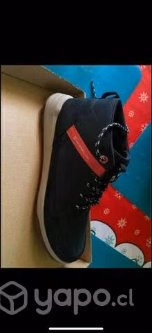 Zapatillas cat