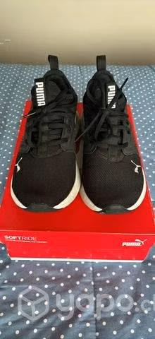 Zapatillas pumas