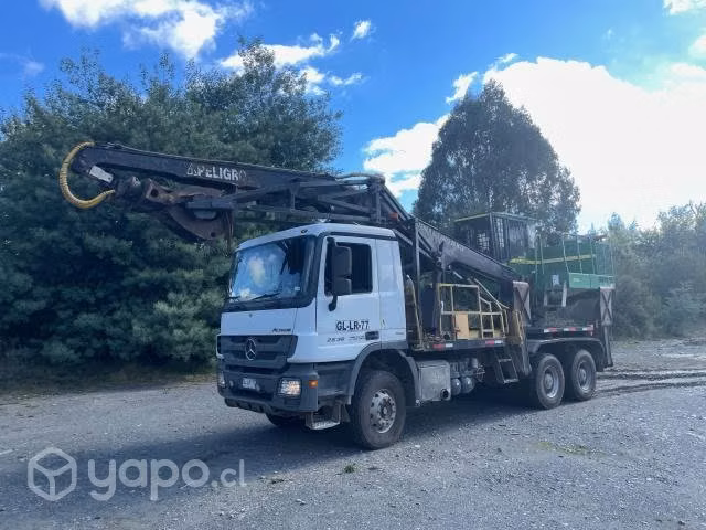 Camion grua forestal