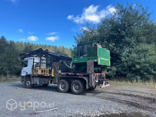 Camion grua forestal