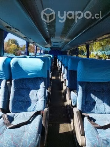 Bus