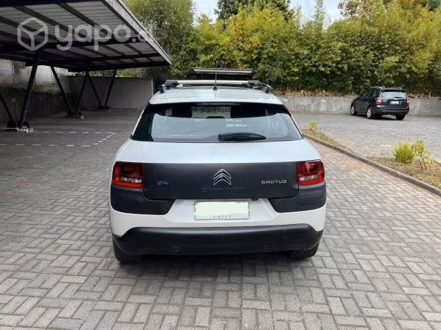 Citroen cactus 2019
