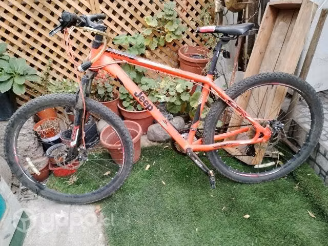 Bicicletas treek y geep