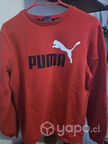 Poleron Puma