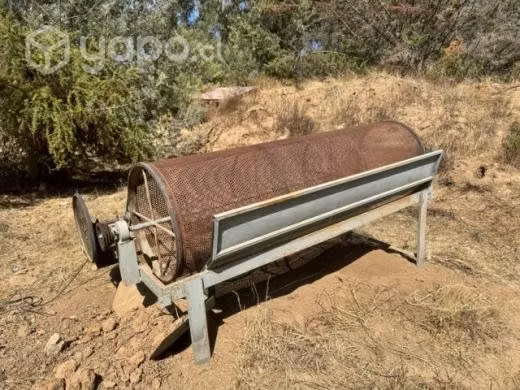Arneadora