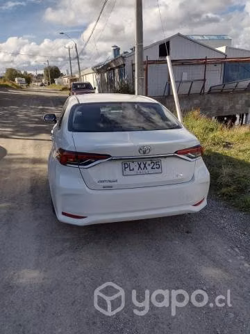 Toyota corolla 2021