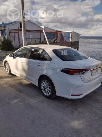 Toyota corolla 2021