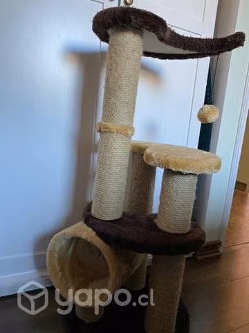 Rascador para gato