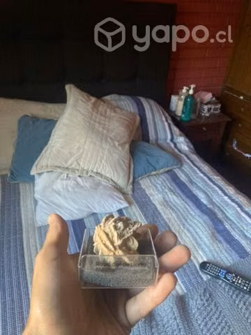 Colección Minerales y piedras preciosas