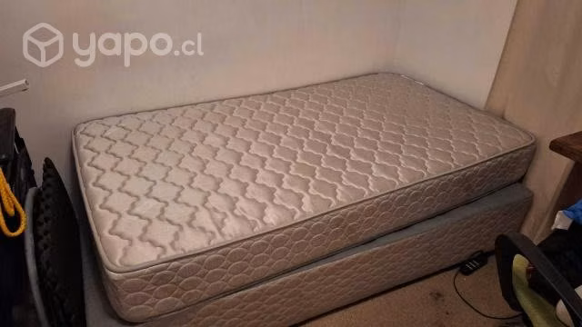 Cama