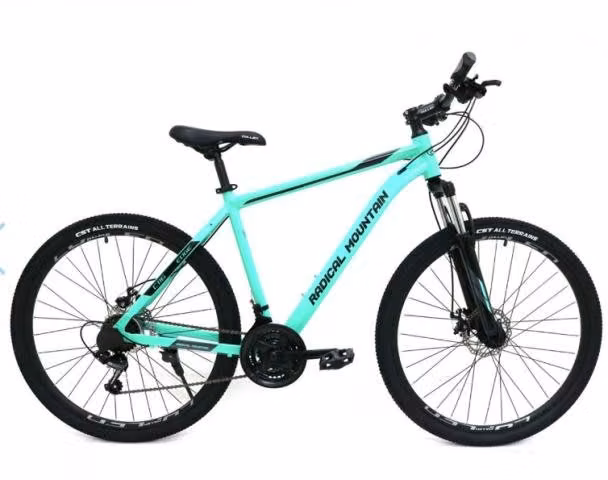Bicicleta Radical Mountain aro 27.5