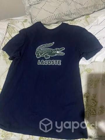 Polera lacoste