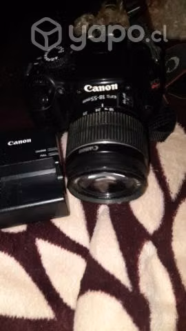 Camara canon profesional