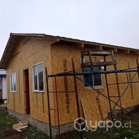 Maestro experiencia y precio