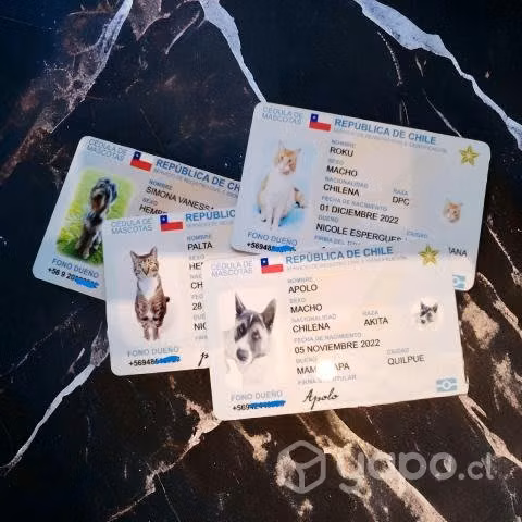 ¡Carnet PVC para Mascotas