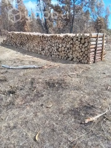Leña