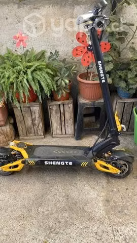 Scooter eléctrico profesional