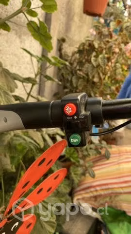 Scooter eléctrico profesional