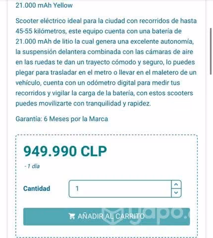 Scooter eléctrico profesional