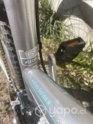 Bicicleta mujer trek
